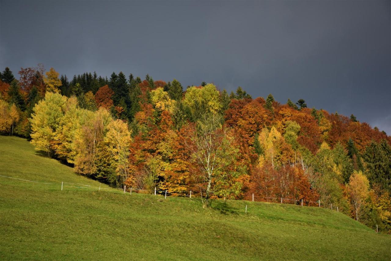 Ferienwohnung Brittenberg Alpaka Schwarzenberg im Bregenzerwald Extérieur photo